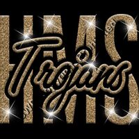 GLT95 GOLD GLITTER Thumbnail